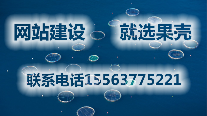 濟寧的網(wǎng)站建設(shè)公司